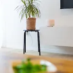 Miranda's Place 스플리트